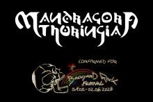 Logo Mandragora Thuringia